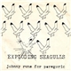 Exploding Seagulls - Johnny Runs For Paregoric